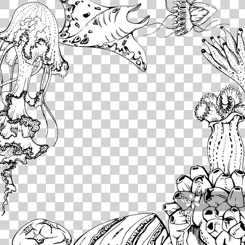 海洋生物 海洋 水下生物 鱼类图片素材