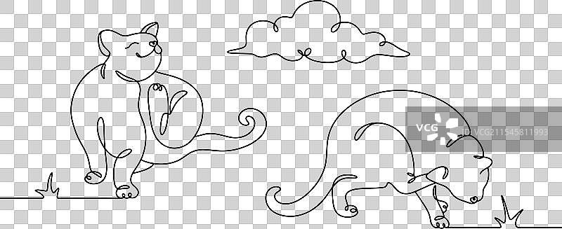 两只流浪猫图片素材