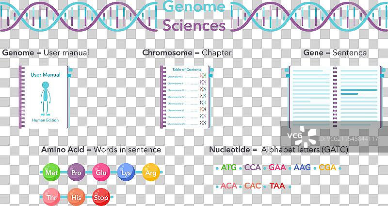 基因组科学图片素材