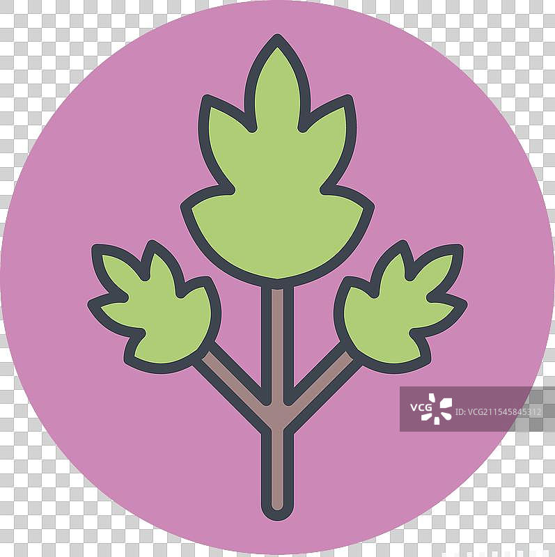 与香料相关的香菜图标，颜色搭配图片素材