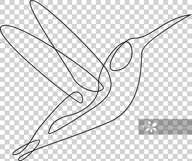 蜂鸟线条图片素材