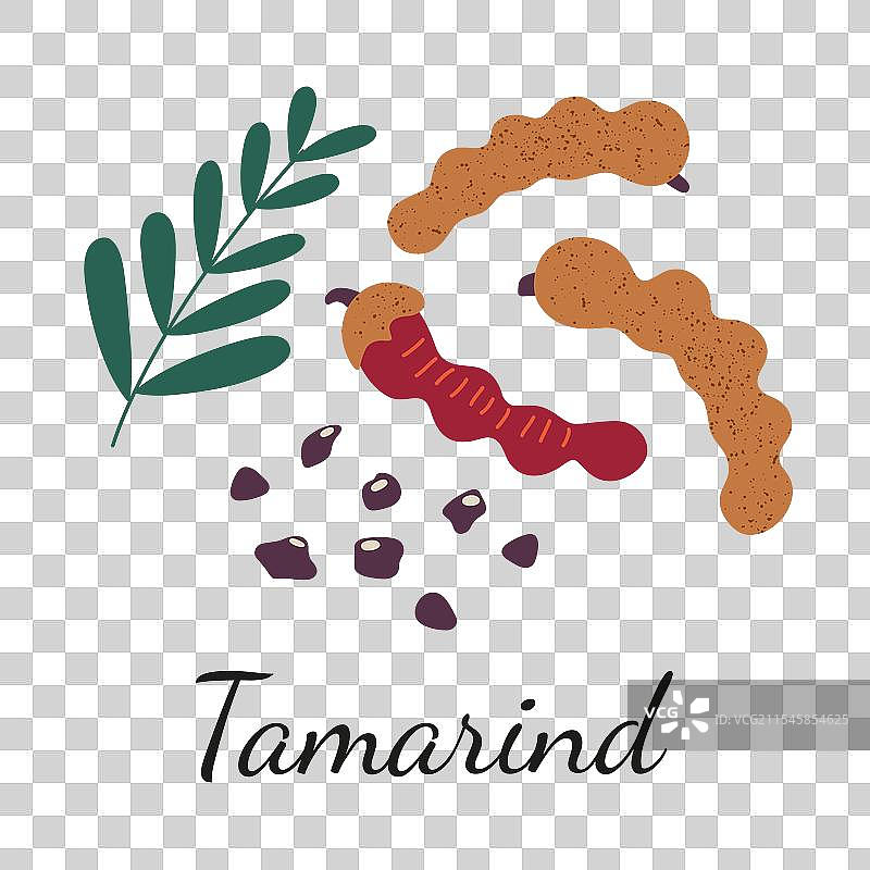 罗望子香料与豆荚图片素材