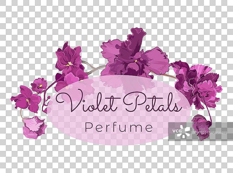 用于花卉或草本产品图片素材