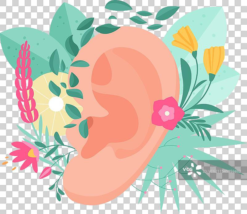 听力健康护理，听力学治疗，人耳图片素材