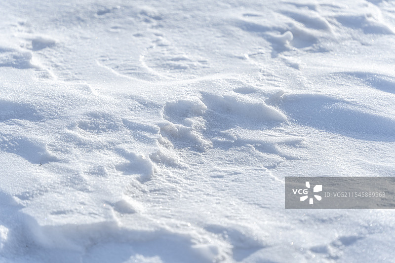雪地特写图片素材