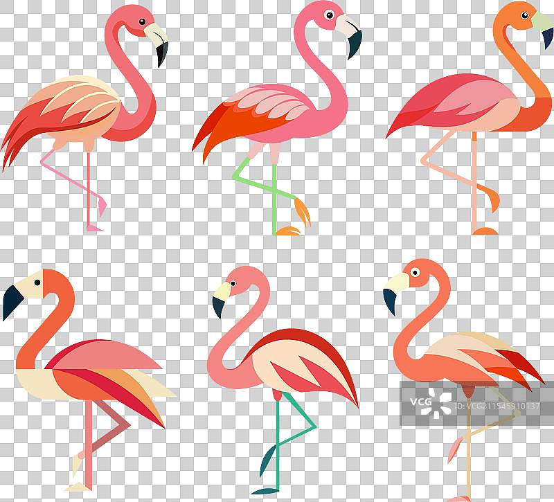 6套极简风格的火烈鸟夏季酒吧设计图片素材