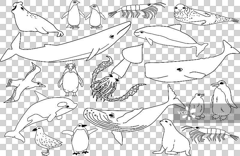 黑白线条动物系列图片素材