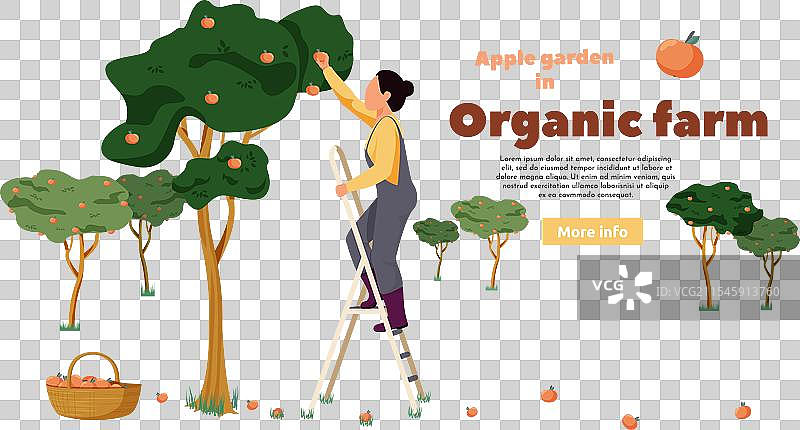 有机苹果园背景图片素材