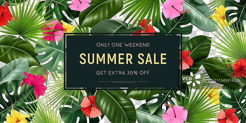 夏季促销木槿海报图片素材