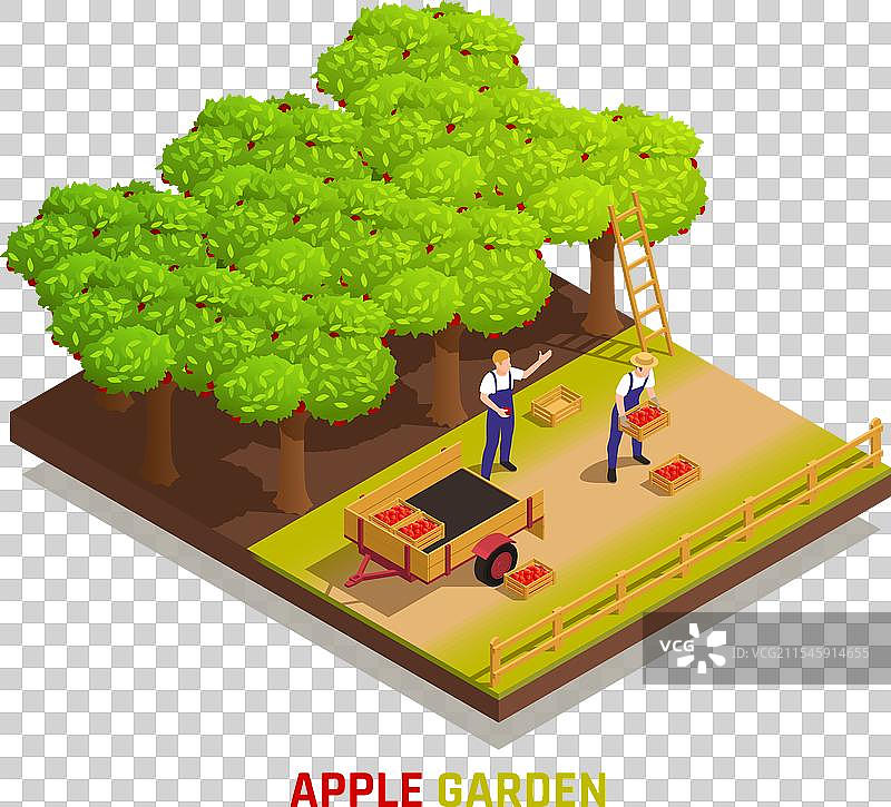 苹果采摘等距构图图片素材