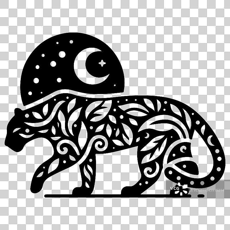 神秘的豹子剪影与天体图片素材