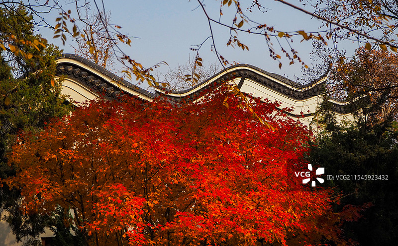 合肥逍遥津公园图片素材