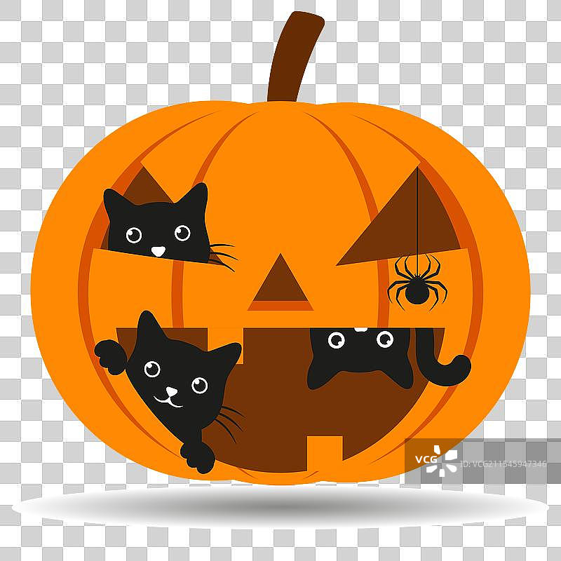 万圣节南瓜与可爱的黑猫图片素材