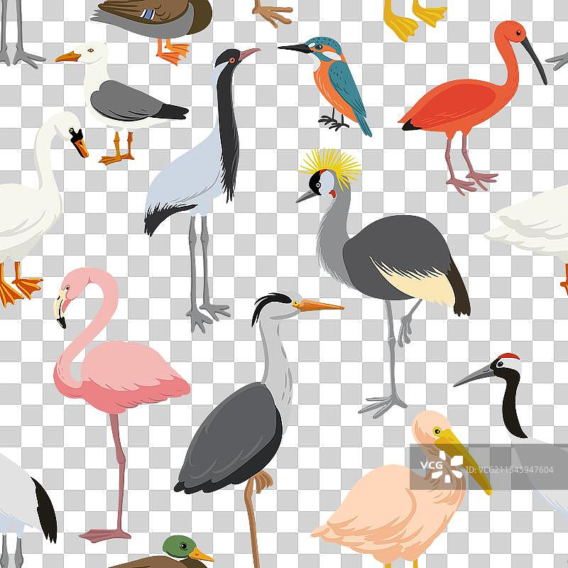 水鸟的无缝图案图片素材