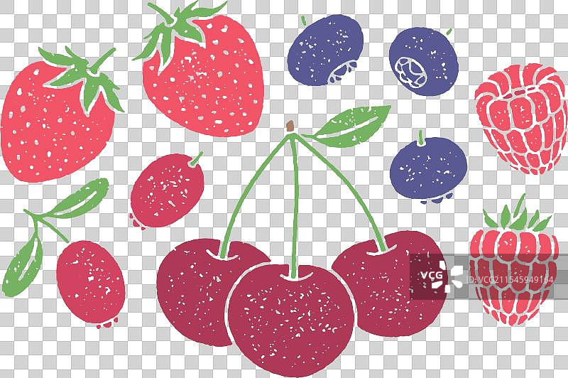 颗粒质感的浆果组合图片素材