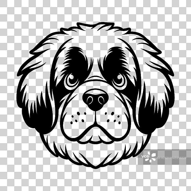 圣伯纳犬宠物动物线条艺术图片素材
