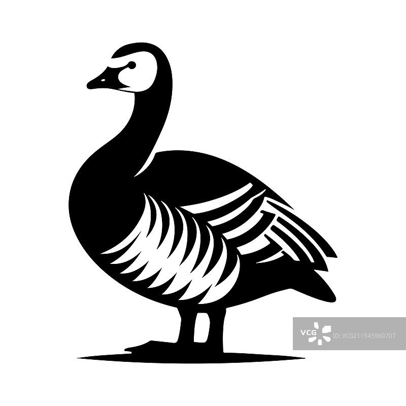 藤壶鹅剪影 - 适合图形设计图片素材