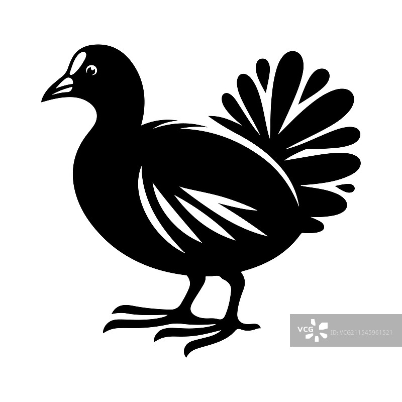 普通秧鸡和鹈鹕的完美剪影图片素材