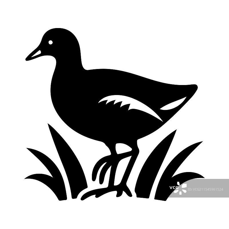 普通秧鸡和鹈鹕的完美剪影图片素材