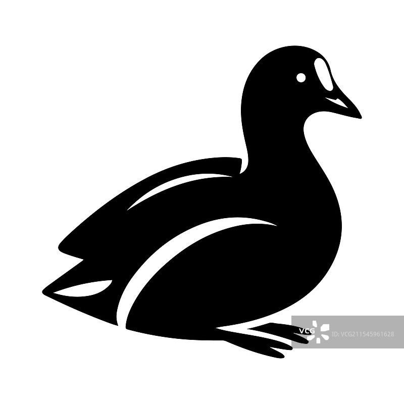 普通秧鸡和鹈鹕的完美剪影图片素材