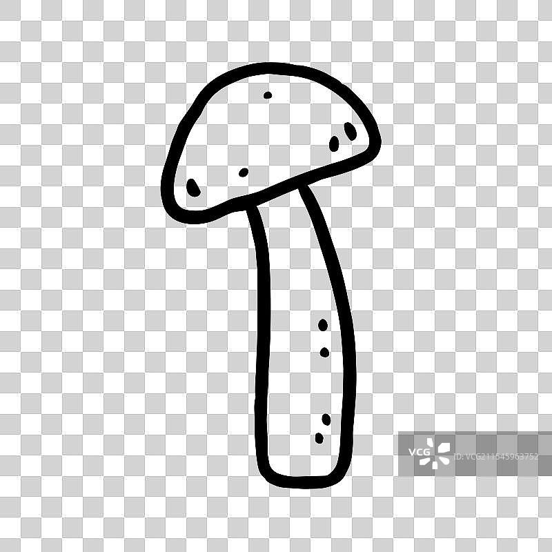 白色背景上的蘑菇图片素材