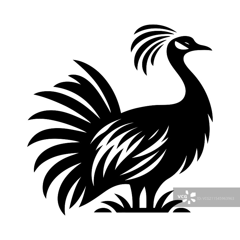 高质量的野生动物科里鸨剪影图片素材