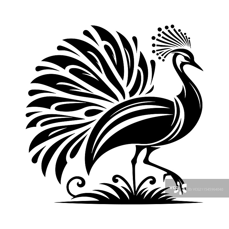 高质量的野生动物科里鸨剪影图片素材