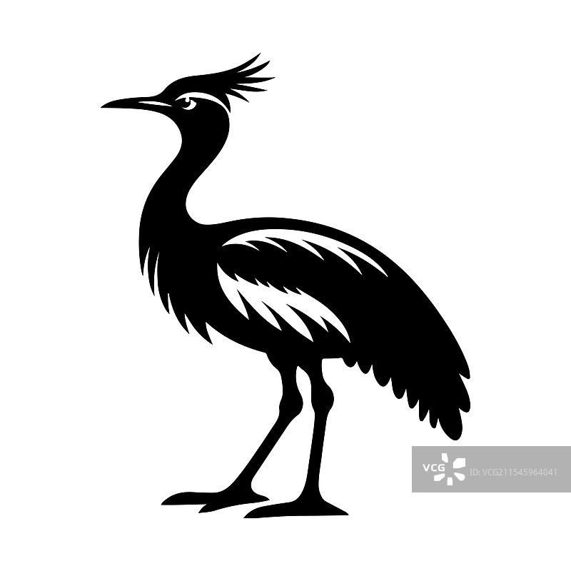 高质量的野生动物科里鸨剪影图片素材