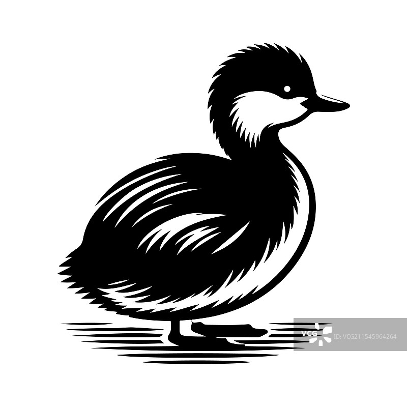 小鸊鷉剪影图形 - 完美用于图片素材