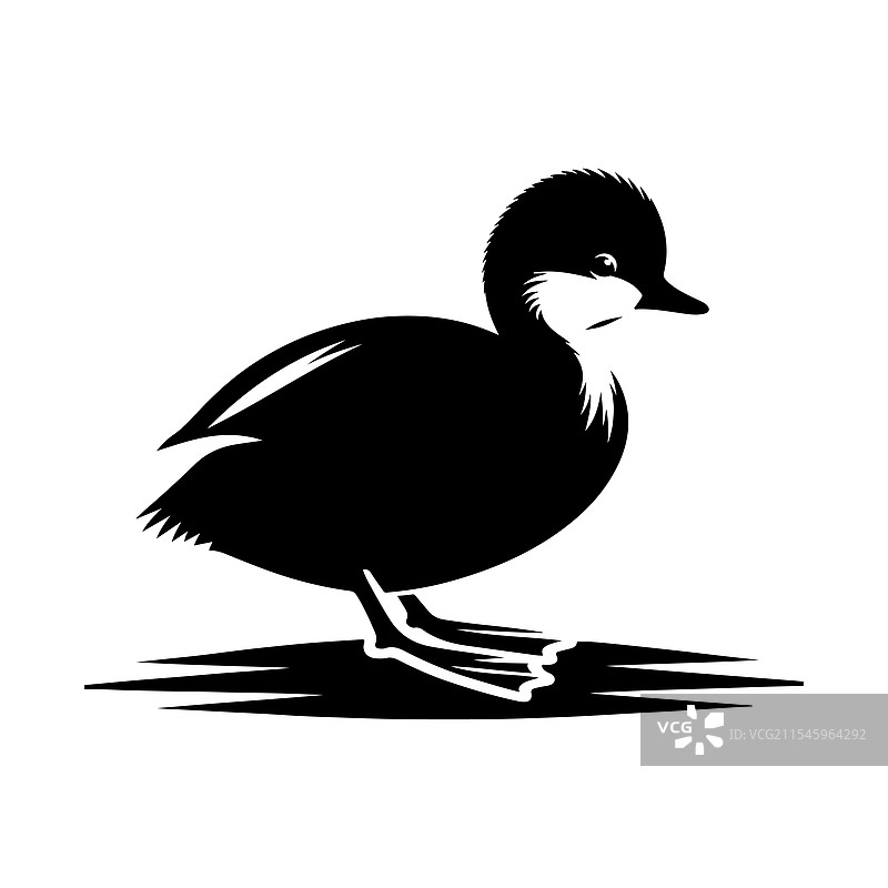 小鸊鷉剪影图形 - 完美用于图片素材