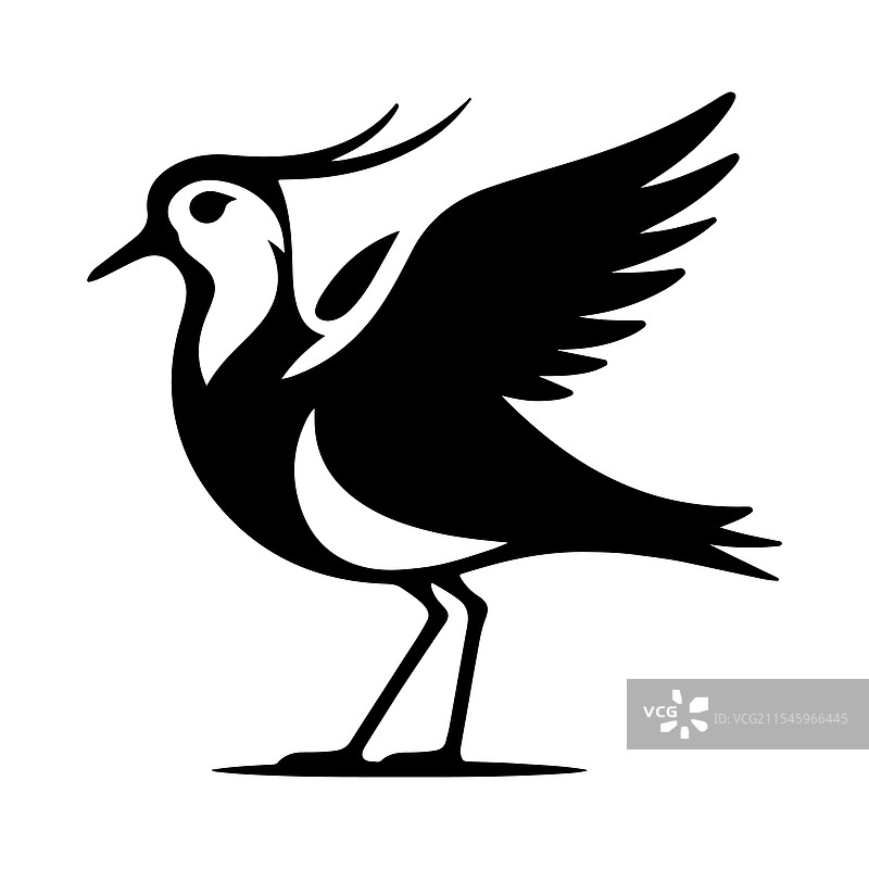 南方环颈鸻剪影高质量鸟类图片素材