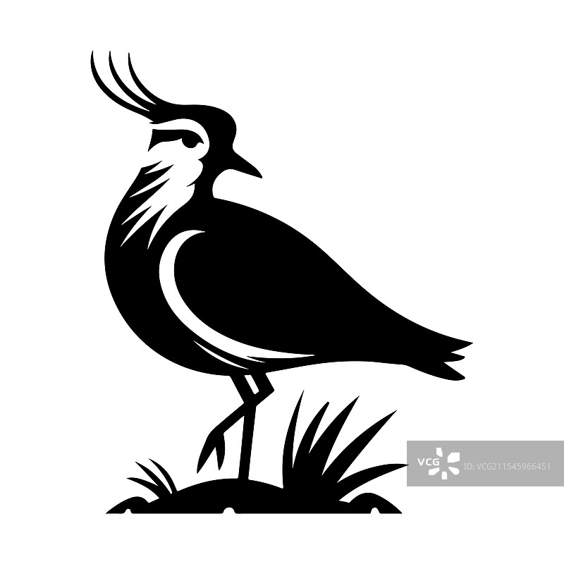 南方环颈鸻剪影高质量鸟类图片素材