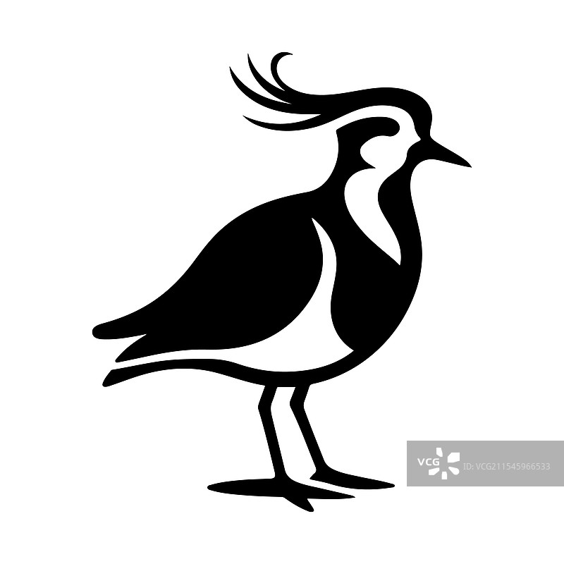 南方环颈鸻剪影高质量鸟类图片素材