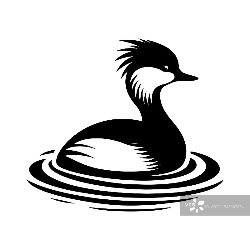 白色绒冠鸊鷉剪影 - 高质量图片素材