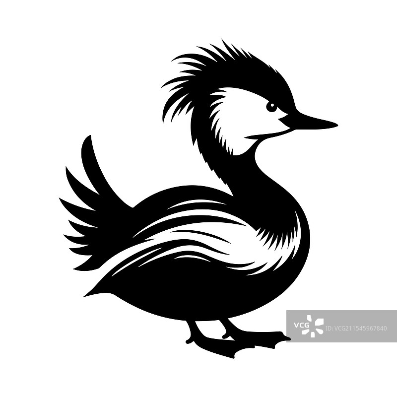 白色绒冠鸊鷉剪影 - 高质量图片素材