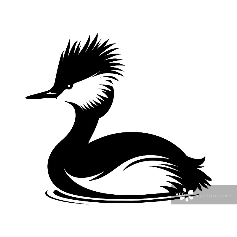 白色绒冠鸊鷉剪影 - 高质量图片素材