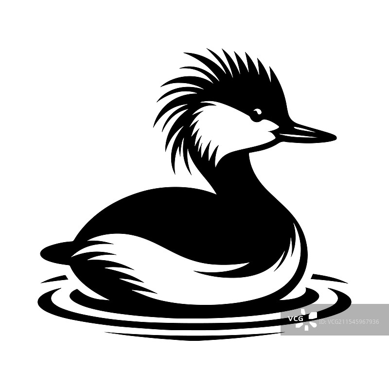 白色绒冠鸊鷉剪影 - 高质量图片素材