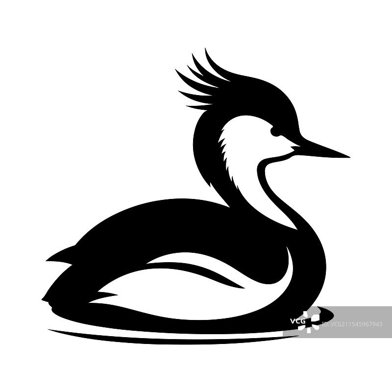 白色绒冠鸊鷉剪影 - 高质量图片素材