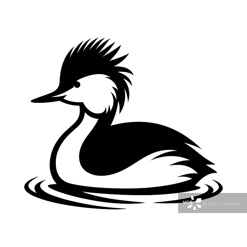 白色绒冠鸊鷉剪影 - 高质量图片素材