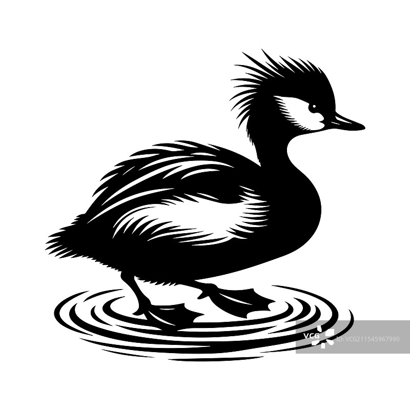 白色绒冠鸊鷉剪影 - 高质量图片素材