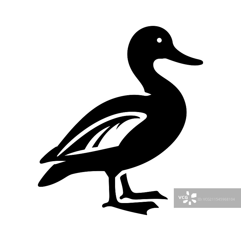 美丽的黄嘴绿头鸭剪影图片素材