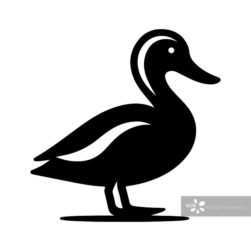 美丽的黄嘴绿头鸭剪影图片素材