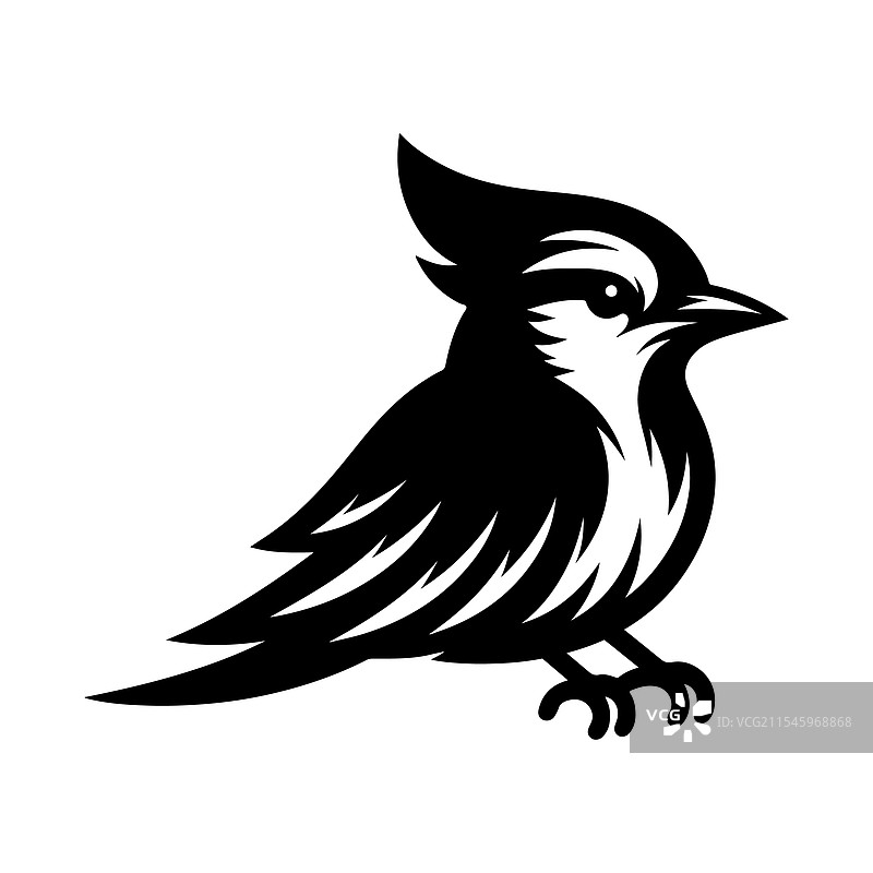 独特的蓝松鸦剪影 - 适合品牌推广图片素材