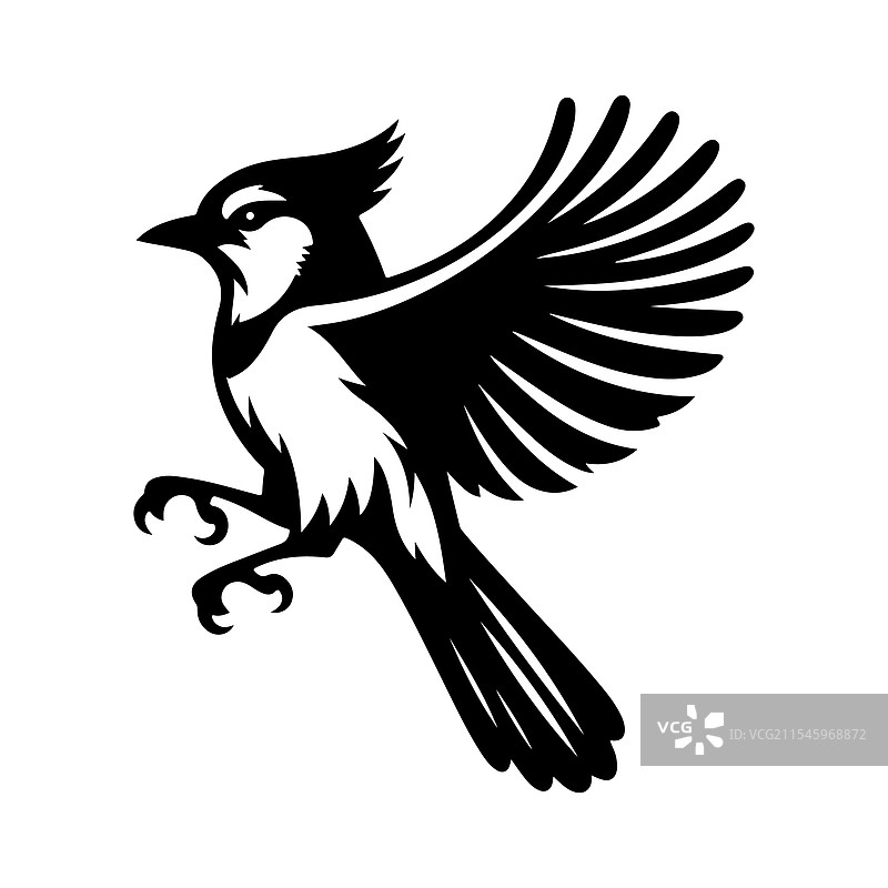 独特的蓝松鸦剪影 - 适合品牌推广图片素材