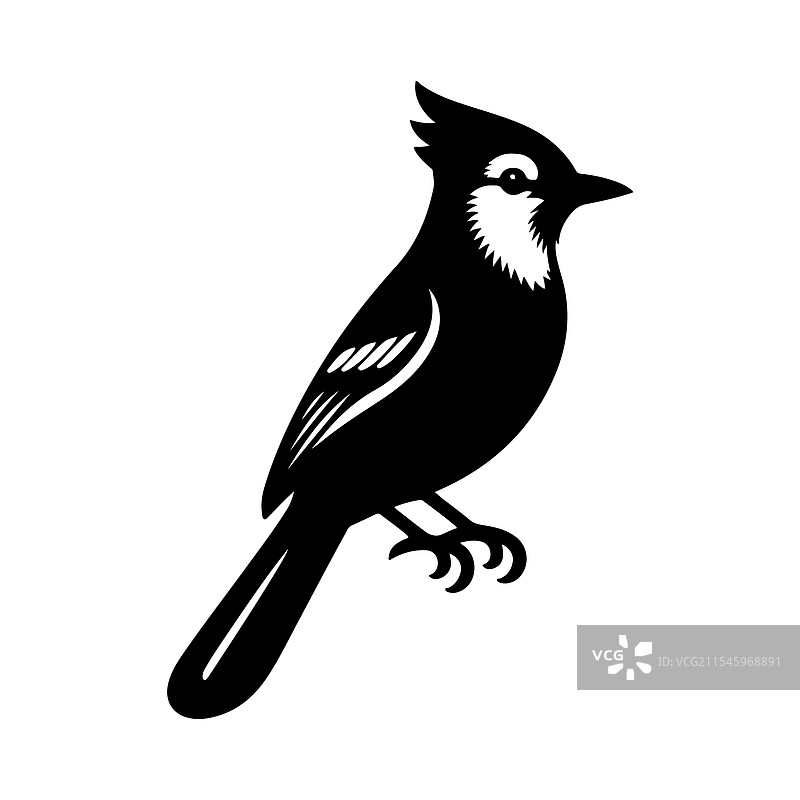 独特的蓝松鸦剪影 - 适合品牌推广图片素材