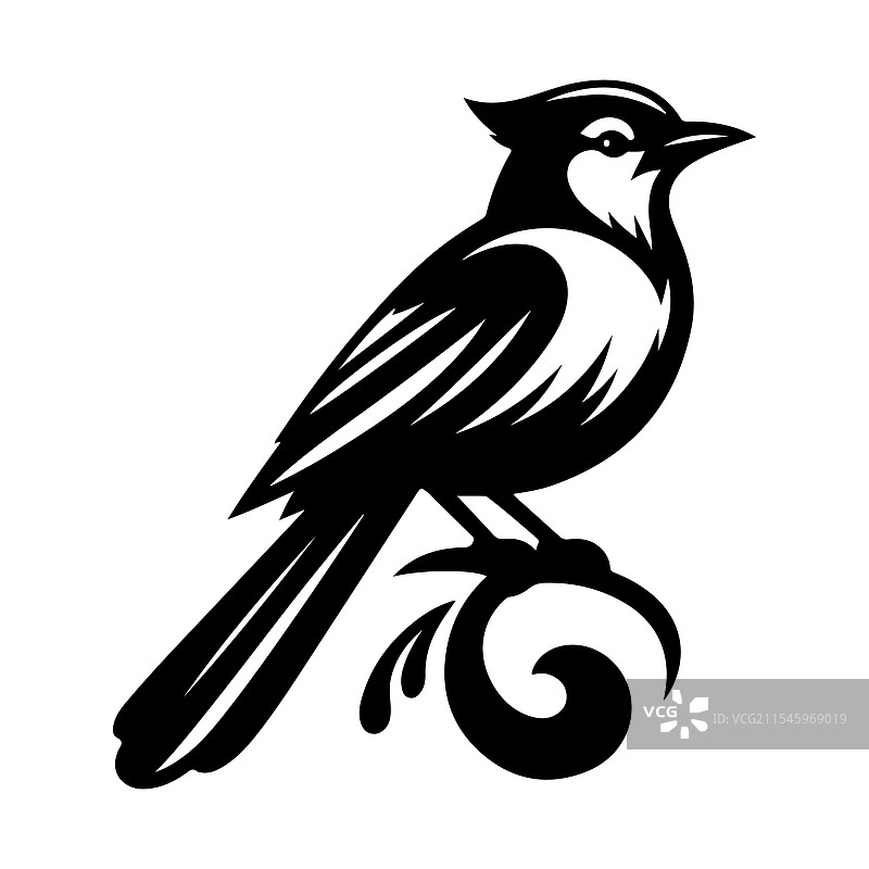 独特的蓝松鸦剪影 - 适合品牌推广图片素材