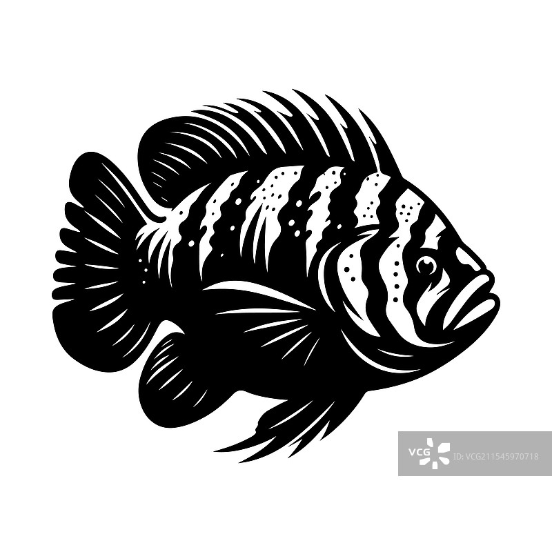 巨型虎鱼剪影 - 高质量图片素材