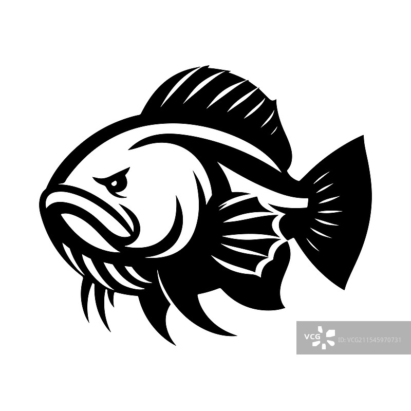 巨型虎鱼剪影 - 高质量图片素材