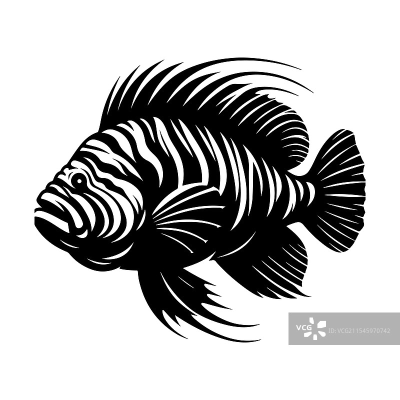 巨型虎鱼剪影 - 高质量图片素材