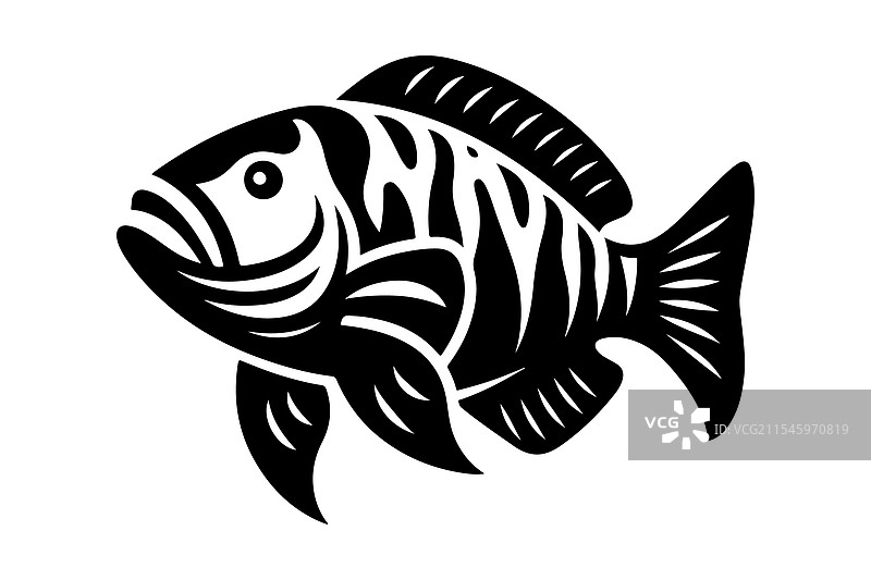 巨型虎鱼剪影 - 高质量图片素材